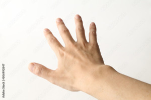 手の甲